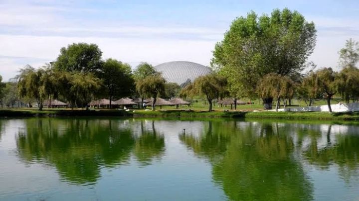 Apuestan por restauración de parques y reforestación en la capital poblana