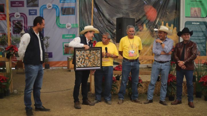 Buscan fortalecen la apicultura en Querétaro