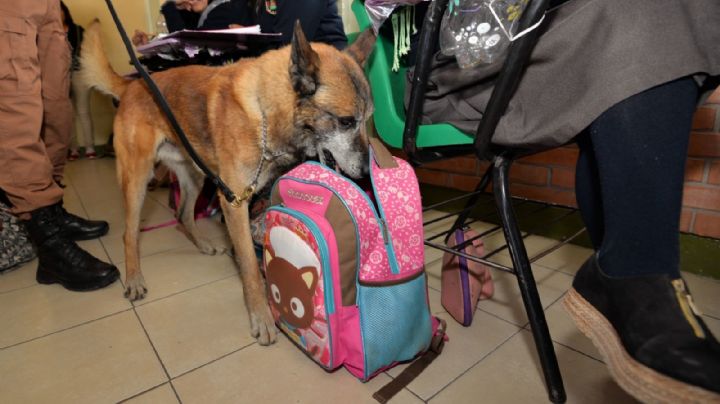 Descartan diputados aplicar operativo mochila en Querétaro