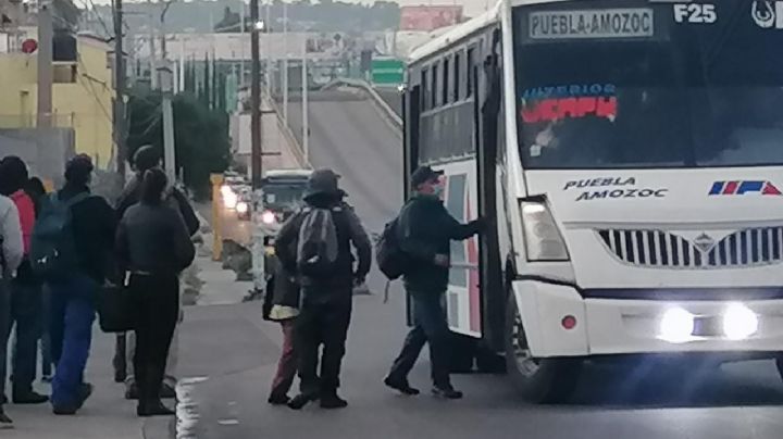 Dan 50% de descuento en multas a conductores del transporte público