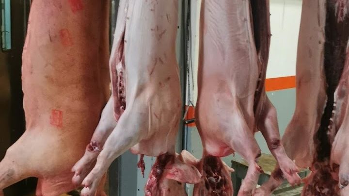 Clausura de rastro clandestino afecta a 50 negocios de la capital poblana