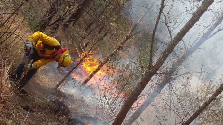 Gobierno de Puebla afirma tener bajo control incendios; hasta marzo van mil 607 hectáreas afectadas