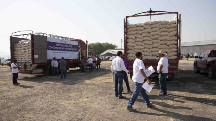 Con afectaciones por contingencias climáticas, más de 12 mil agricultores en Querétaro