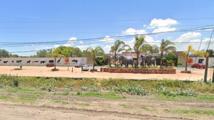 Asociación de zoológicos exige justicia, tras asesinato del propietario del Wamerú, en Querétaro