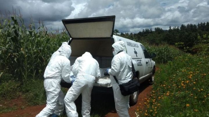 Identificadas ocho de las 23 osamentas encontradas en fosas clandestinas de Villamar, Michoacán