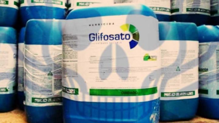 Impugnará Semarnat amparo otorgado a Monsanto sobre uso de glifosato
