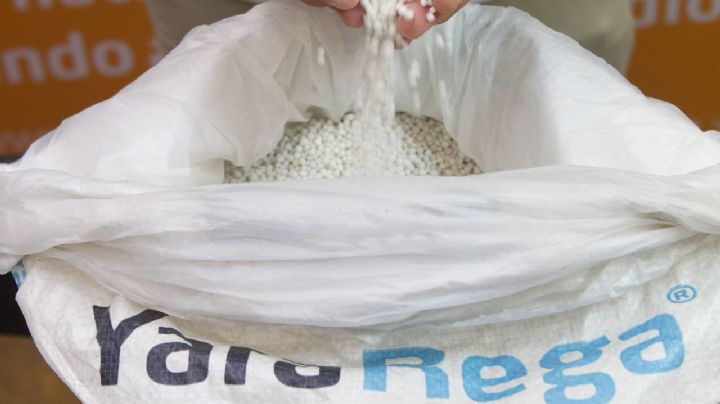Agricultores queretanos recibirán apoyo de fertilizantes por parte de Gobierno Federal