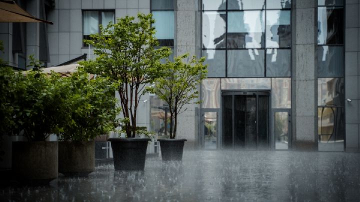 Clima HOY: Lista de estados de México afectados por frío y lluvias este SÁBADO 21 de octubre