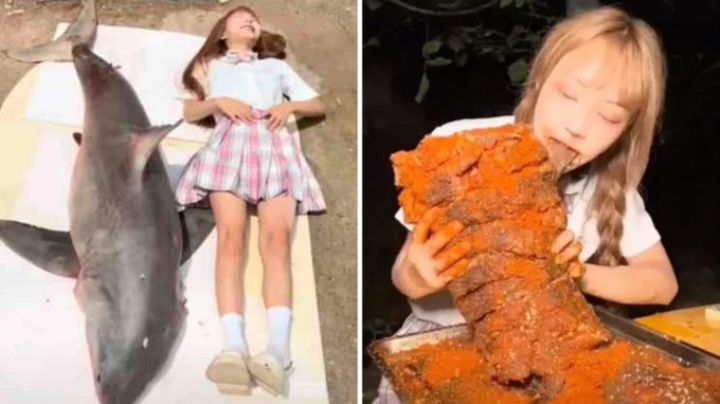 Multan a la influencer china Tizi por cocinar y después comerse un tiburón en peligro de extinción