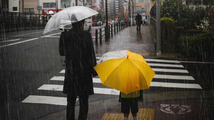 Clima hoy miércoles 28 de junio: 'Adrián' dejará lluvias en estos estados; CDMX llegará a los 27 grados