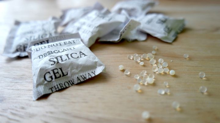 ¿Cómo eliminar chinches con gel sílice?