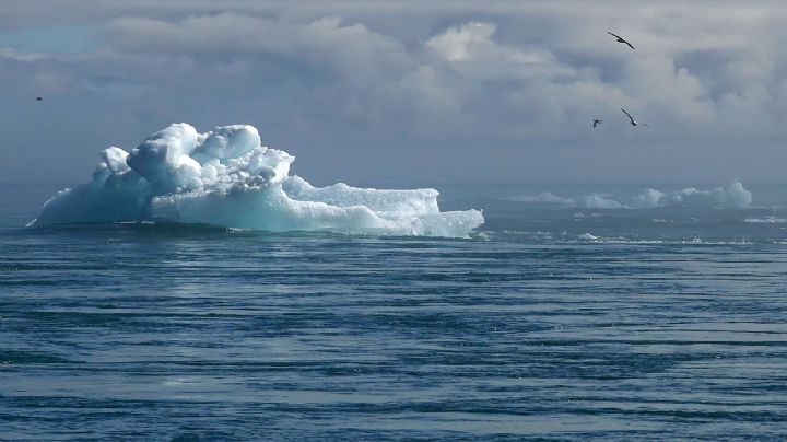 Vórtice polar: ¿Qué es y cuándo afectará a México?