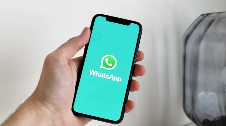 ¿Cómo recuperar tus mensajes borrados de WhatsApp?