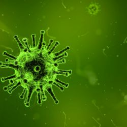 ¿Qué es el "virus del mono"? La enfermedad mortal que se ha registrado en Hong Kong
