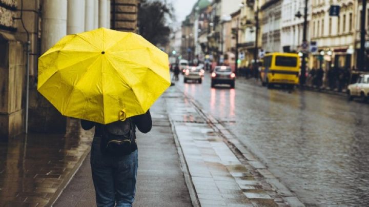 Clima HOY: Lista de estados de México afectados por lluvias hoy sábado 20 de julio