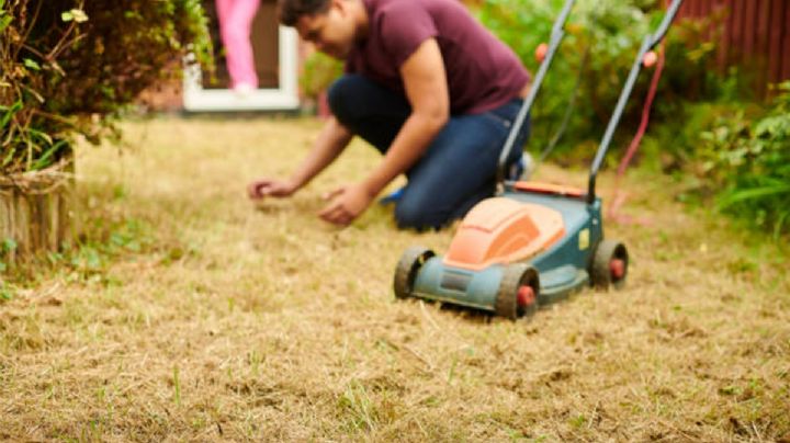 5 pasos para lograr que el pasto de tu jardín crezca rápidamente
