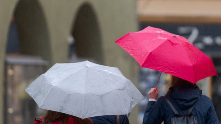 Clima HOY: Intenso calor y lluvias se esperan en estos estados hoy lunes 12 de mayo