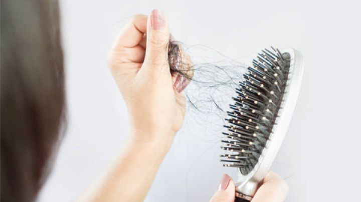 Las 3 mejores plantas medicinales que pueden prevenir la caída del cabello