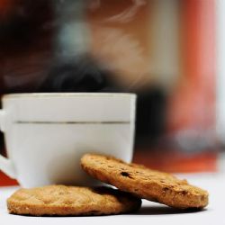 Profeco revela cuáles son las galletas María que tienen menos grasa