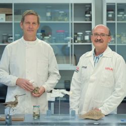 Biología de la UDLAP, único programa en México con acreditación de la Royal Society of Biology