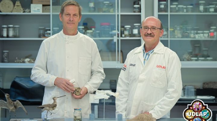 Biología de la UDLAP, único programa en México con acreditación de la Royal Society of Biology
