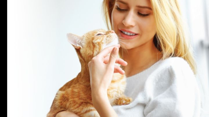 Día Internacional del Gato: ¡Atención Karen! Así puedes consentir a tu michi en su festejo