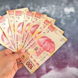 El motor invisible del desarrollo en México: asociaciones civiles y nuevas formas de financiamiento